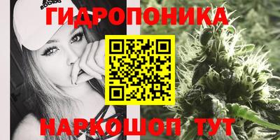 прущие крисы Рыбинск